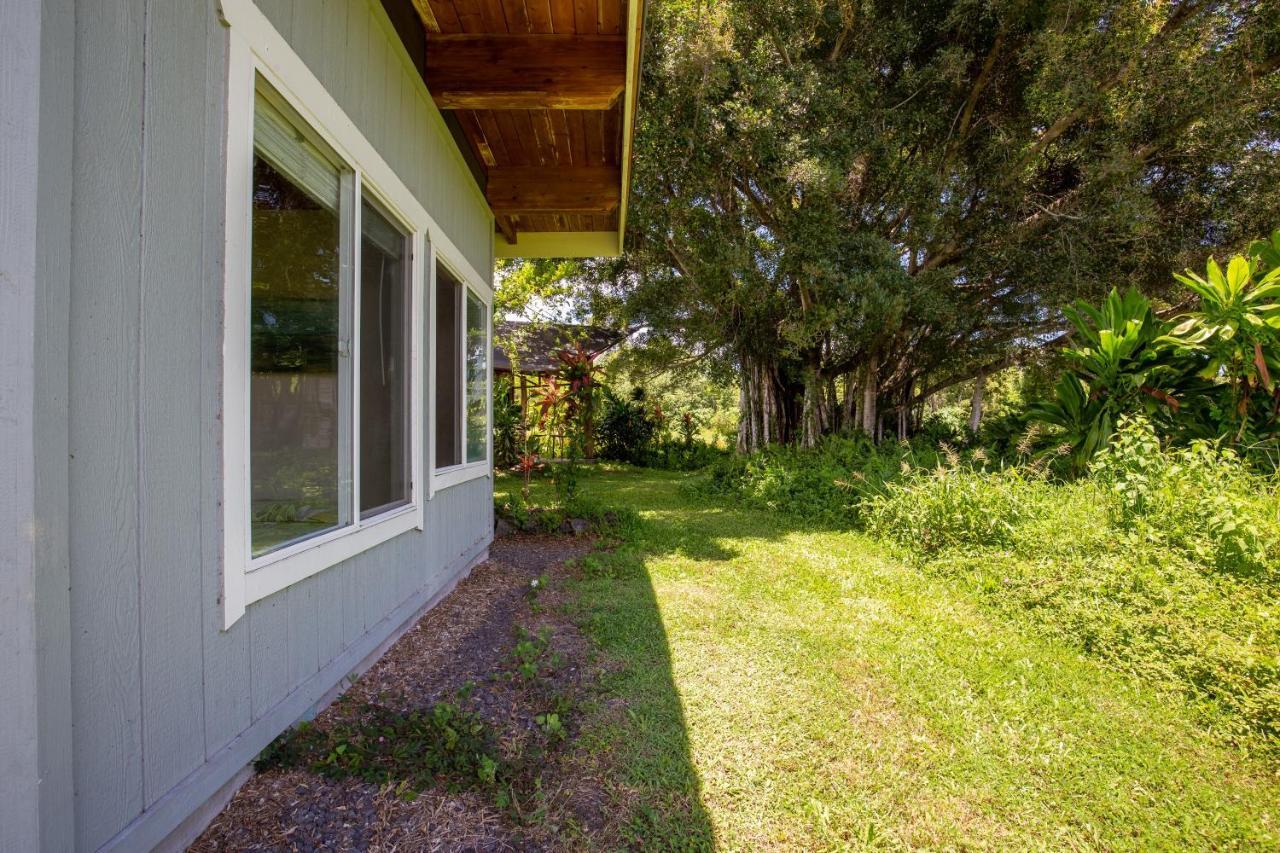 Вилла Kalani Oceanside Retreat Pahoa Экстерьер фото
