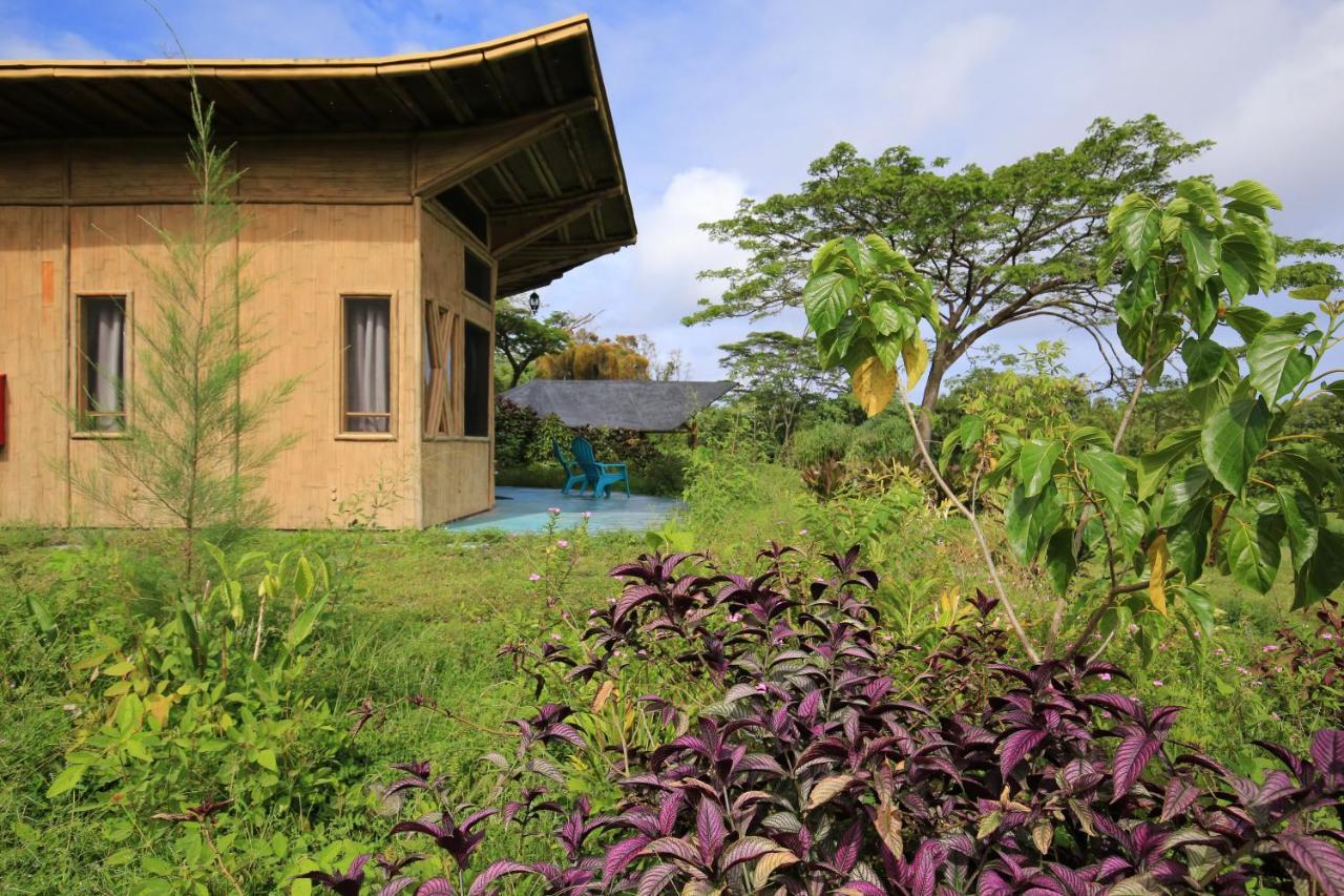 Вилла Kalani Oceanside Retreat Pahoa Экстерьер фото