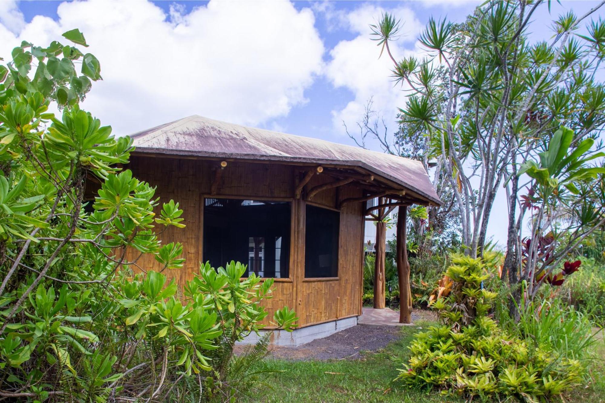 Вилла Kalani Oceanside Retreat Pahoa Экстерьер фото